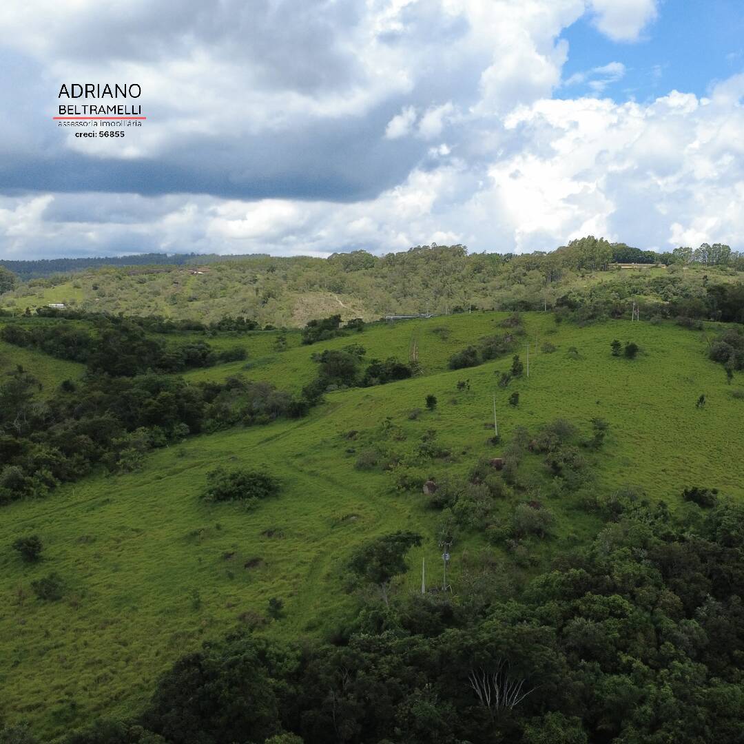 Terreno, 4 hectares - Foto 11