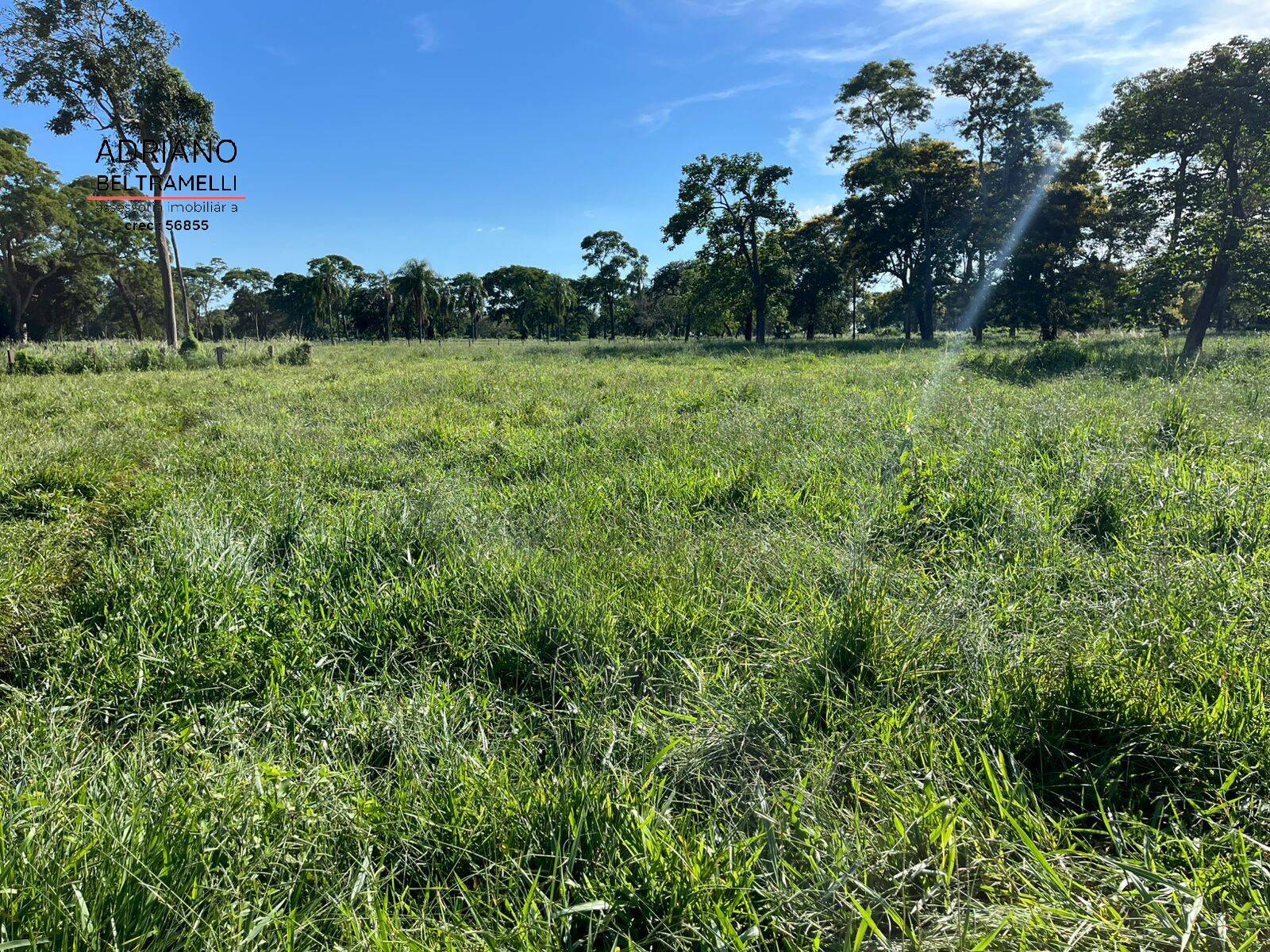 Fazenda, 622 m² - Foto 2