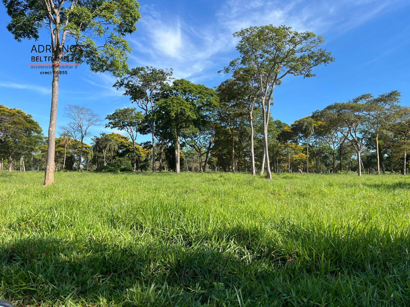 Fazenda, 622 m² - Foto 6