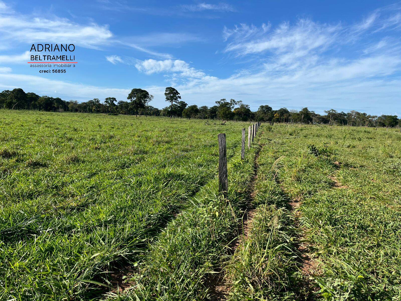 Fazenda, 622 m² - Foto 10