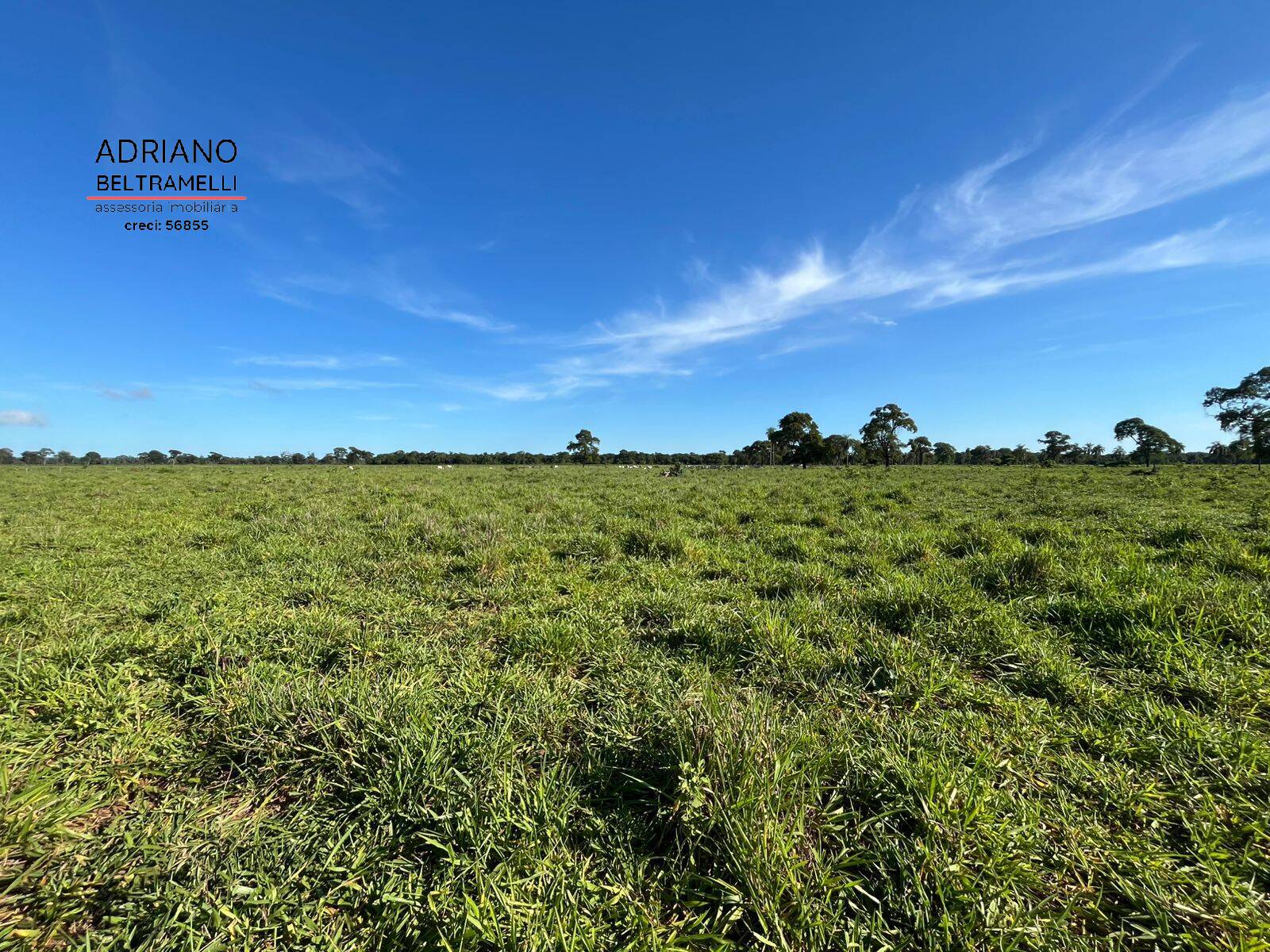 Fazenda, 622 m² - Foto 16