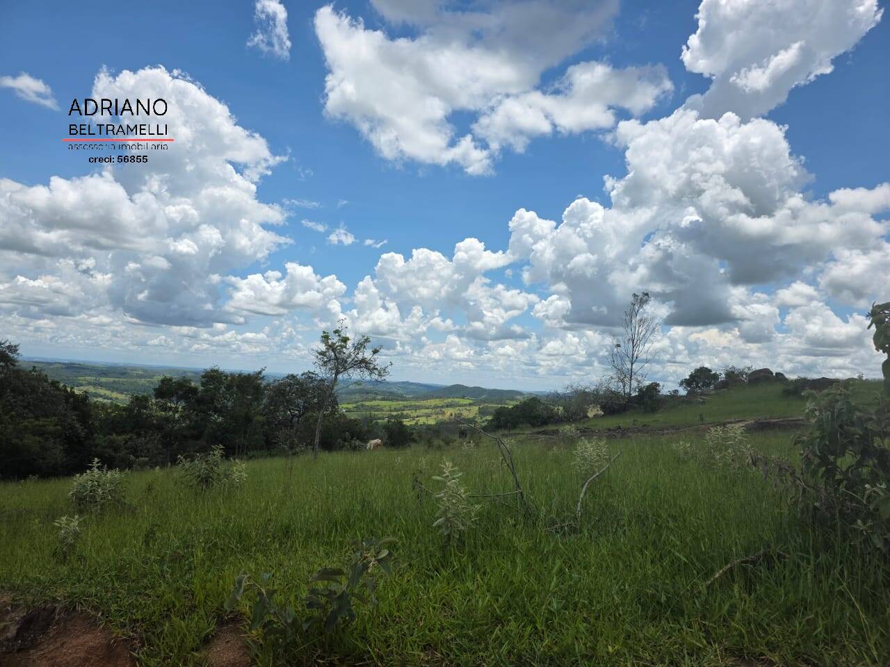 Terreno, 4 hectares - Foto 11