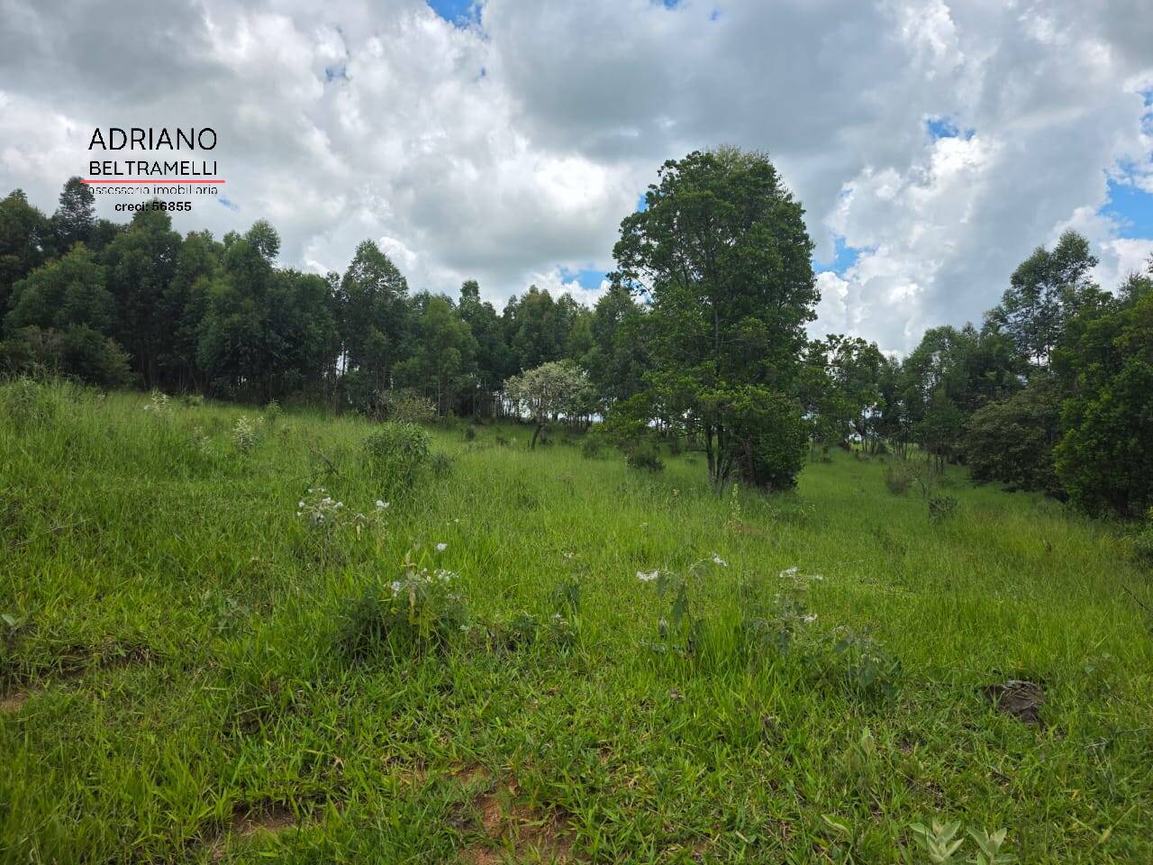 Terreno, 4 hectares - Foto 7