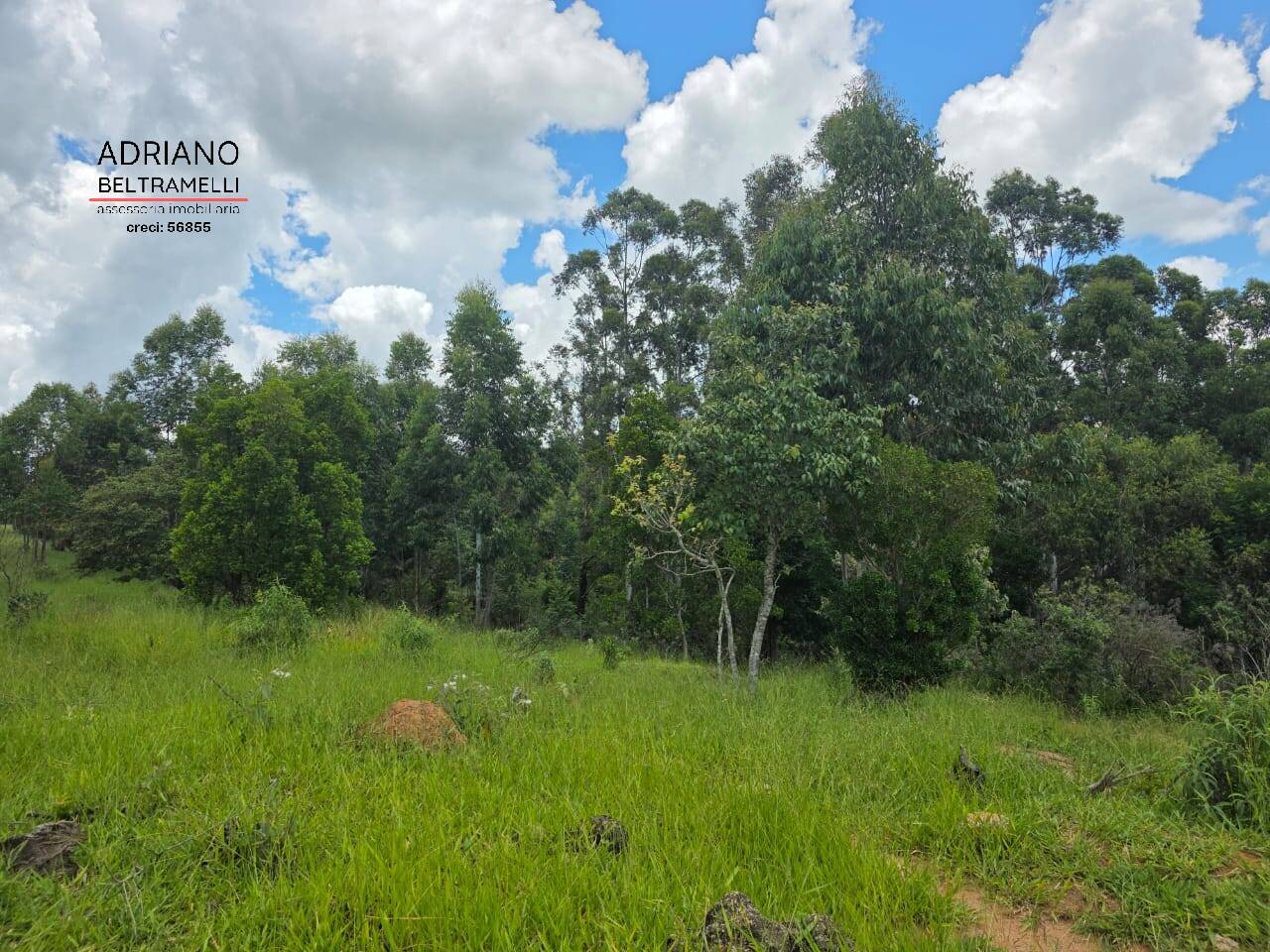 Terreno, 4 hectares - Foto 3
