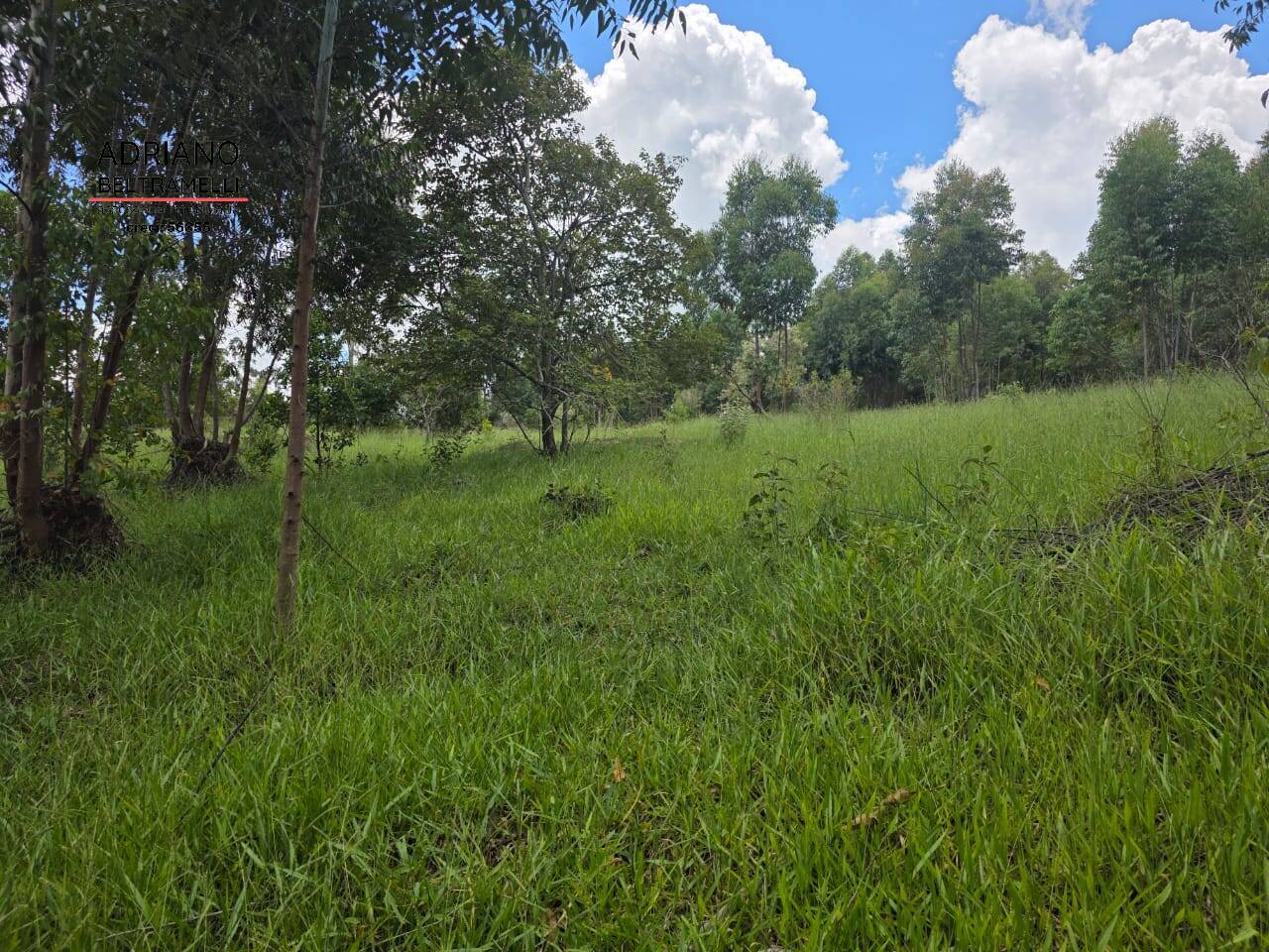 Terreno, 4 hectares - Foto 9