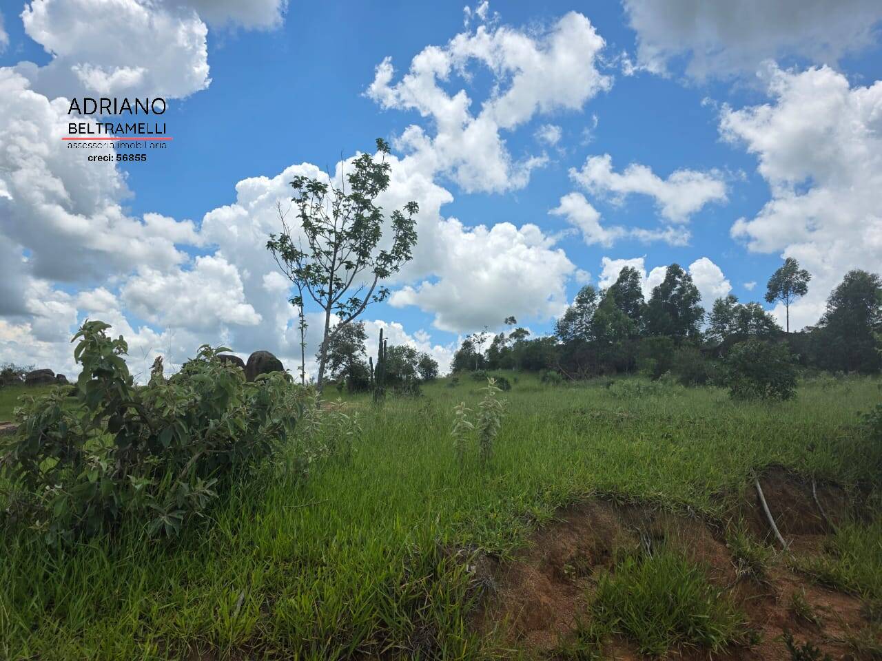 Terreno, 4 hectares - Foto 12