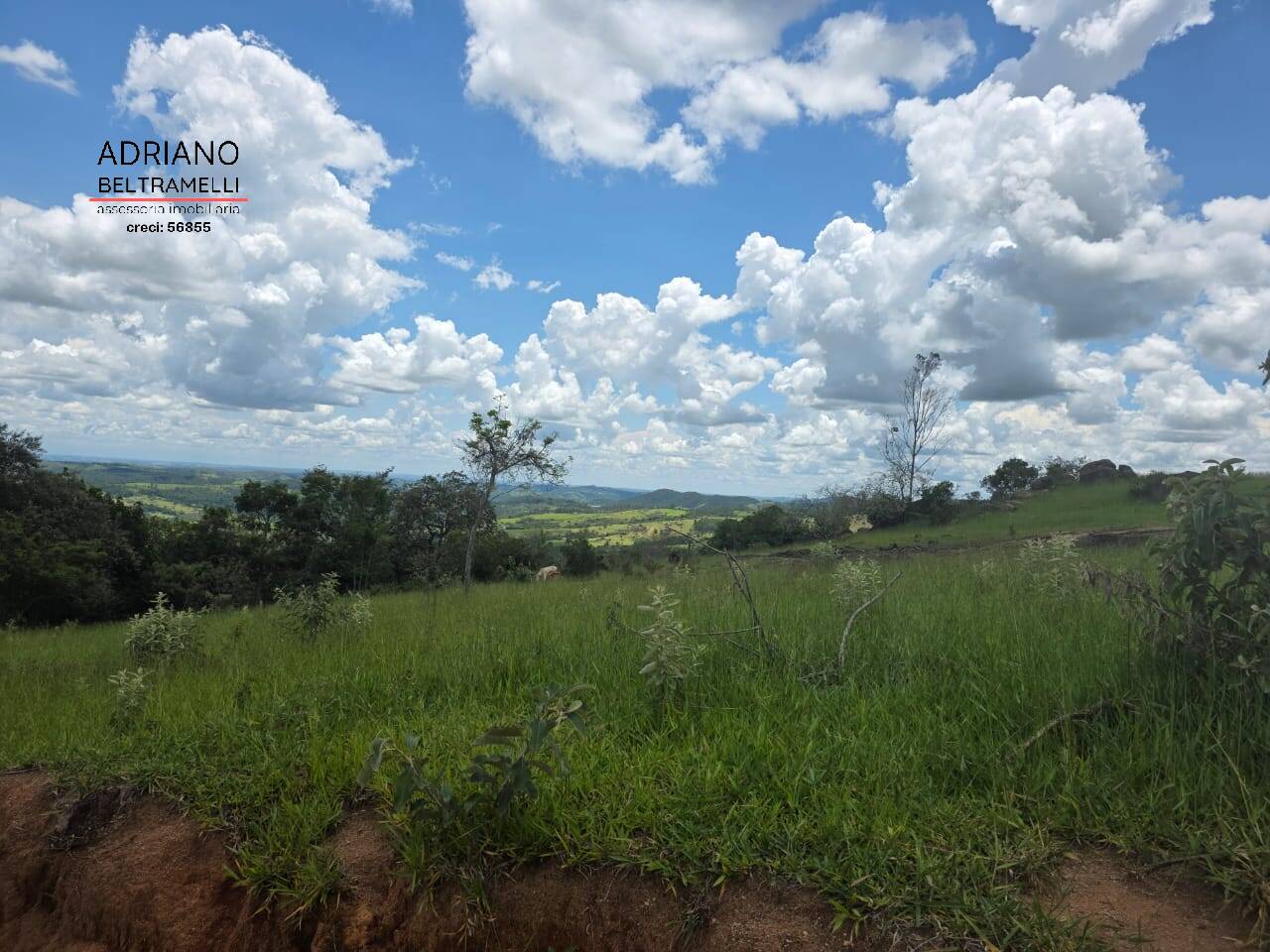 Terreno, 4 hectares - Foto 1