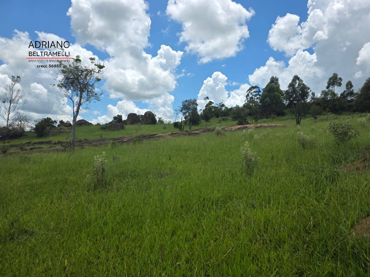 Terreno, 4 hectares - Foto 2