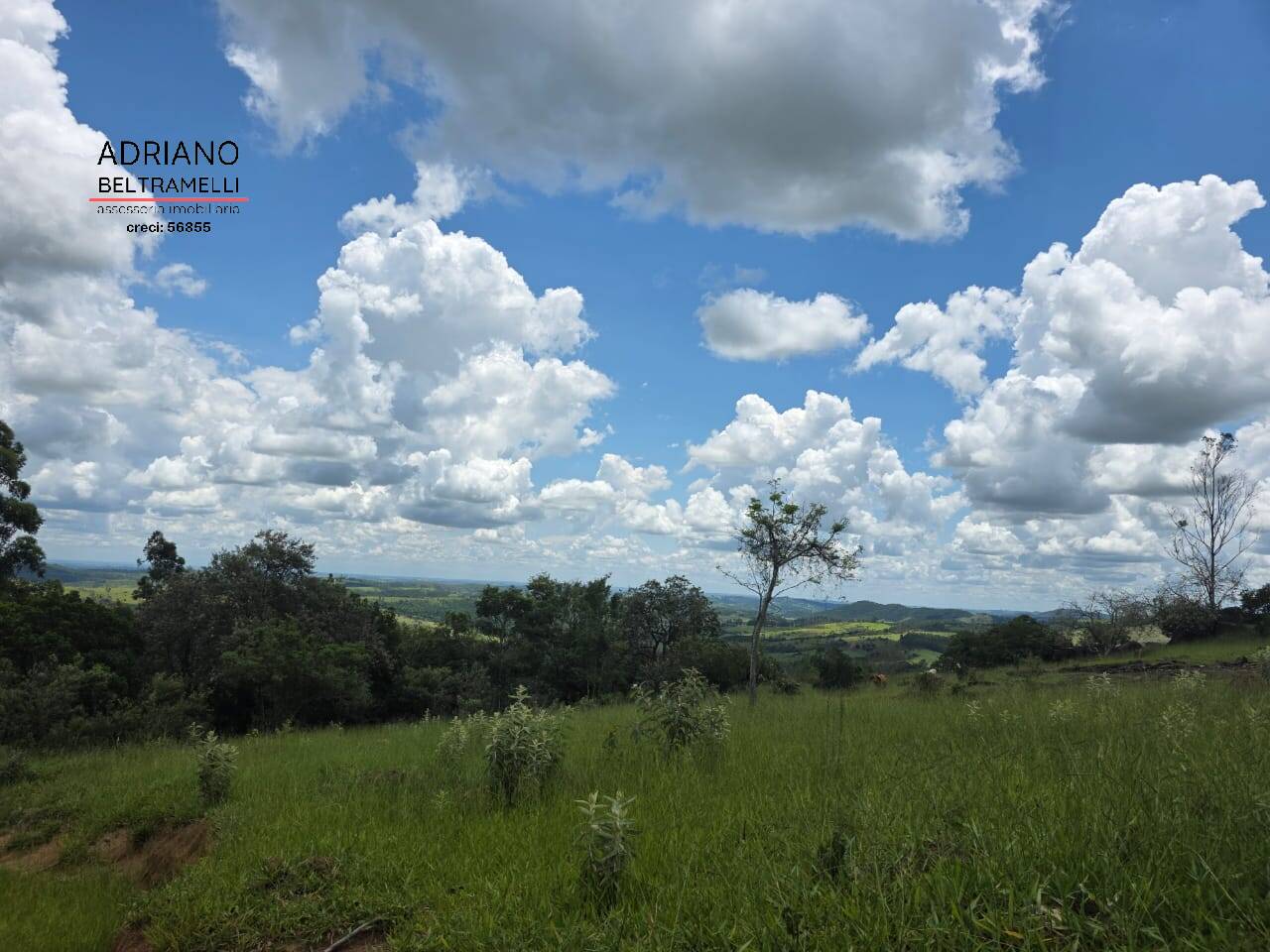 Terreno, 4 hectares - Foto 14