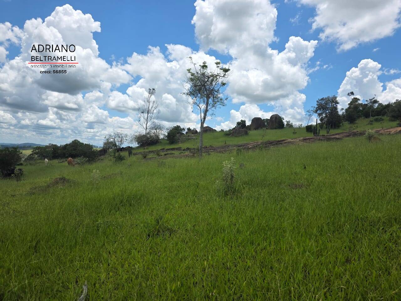 Terreno, 4 hectares - Foto 13