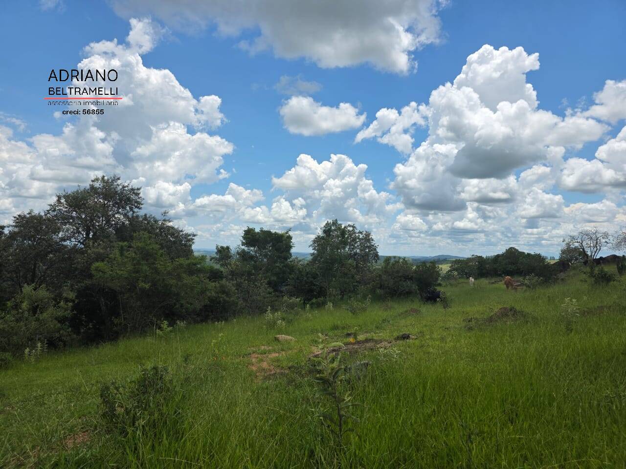 Terreno, 4 hectares - Foto 15