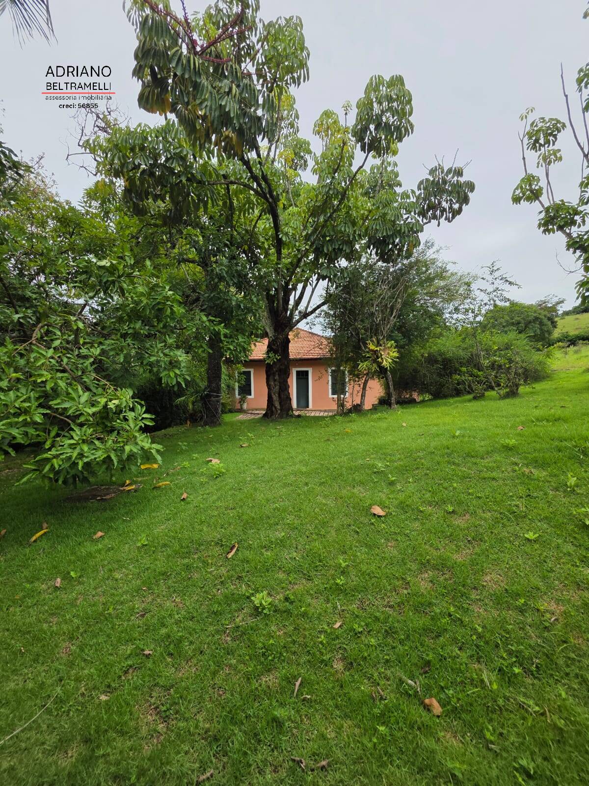 Sítio, 8 quartos, 21 hectares - Foto 18