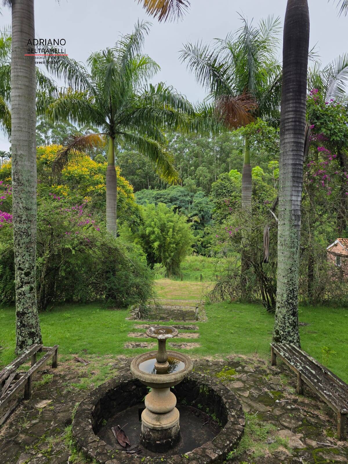 Sítio, 8 quartos, 21 hectares - Foto 7