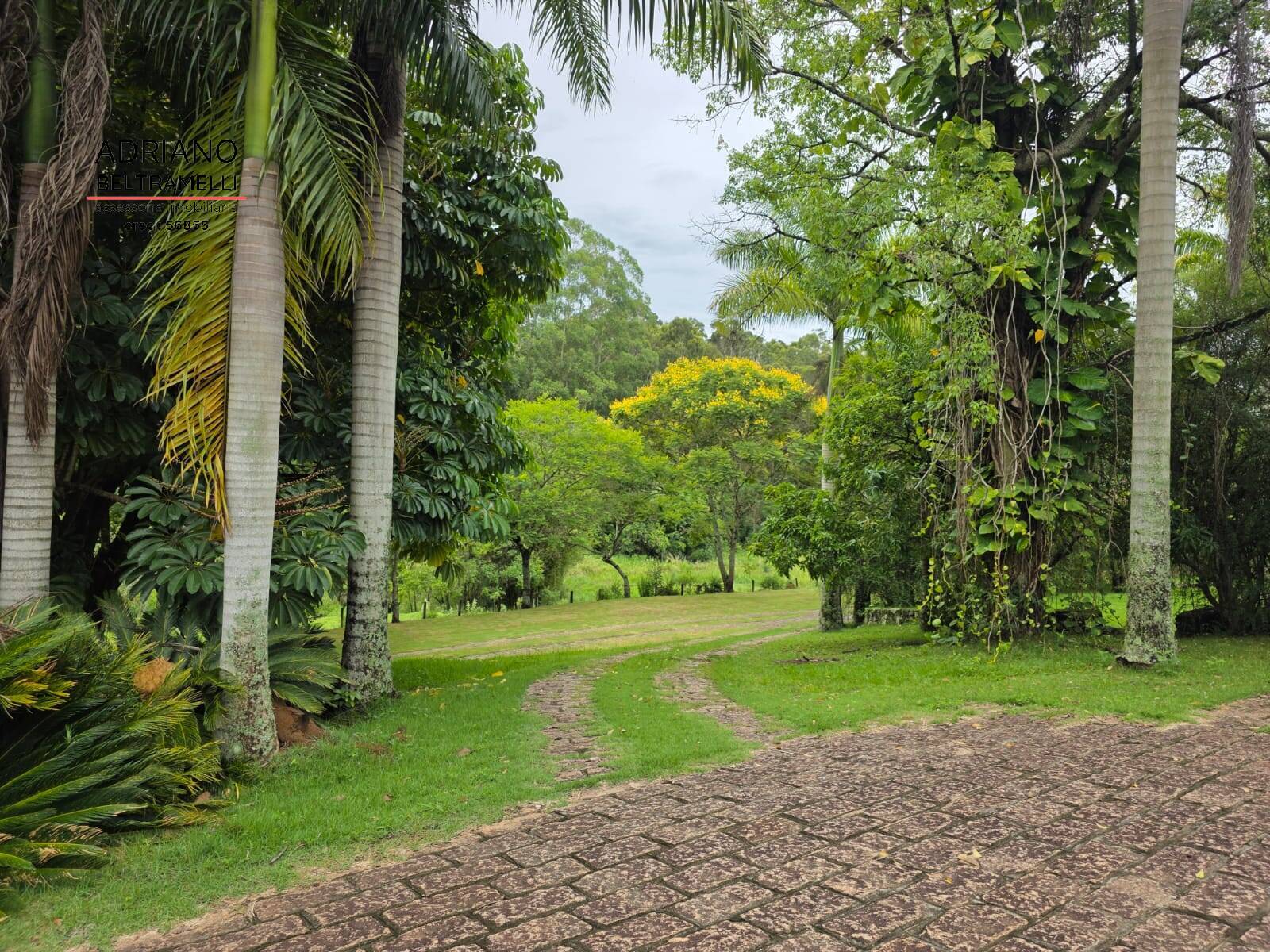 Sítio, 8 quartos, 21 hectares - Foto 32