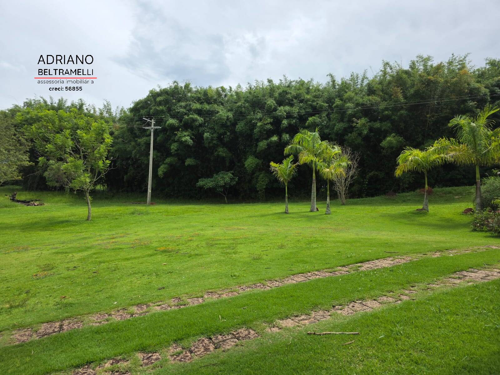 Sítio, 8 quartos, 21 hectares - Foto 22