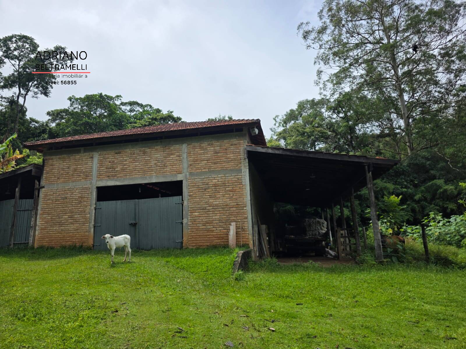 Sítio, 8 quartos, 21 hectares - Foto 35
