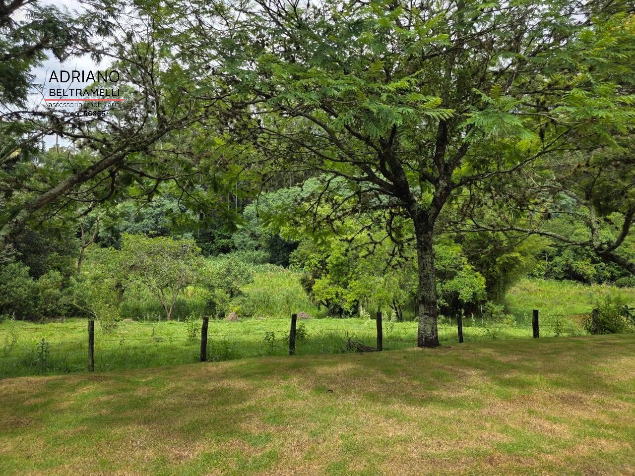 Sítio, 8 quartos, 21 hectares - Foto 36