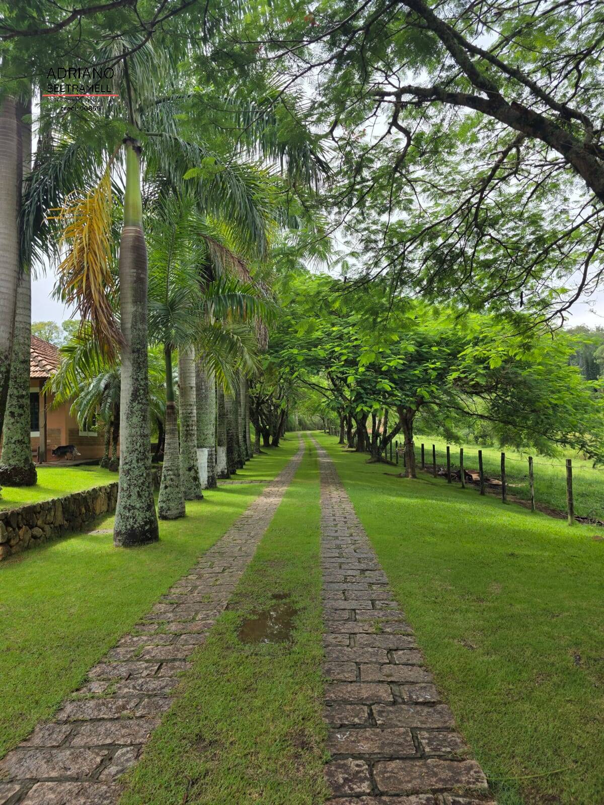 Sítio, 8 quartos, 21 hectares - Foto 2
