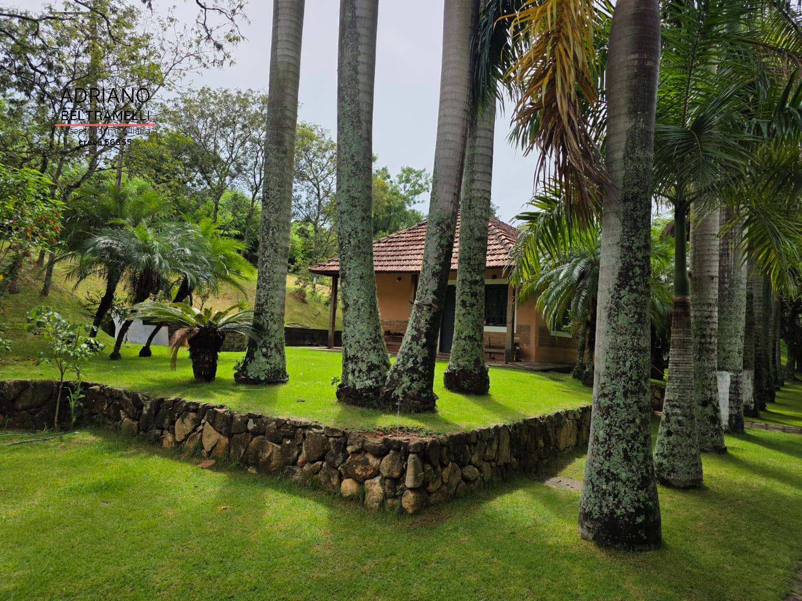 Sítio, 8 quartos, 21 hectares - Foto 1