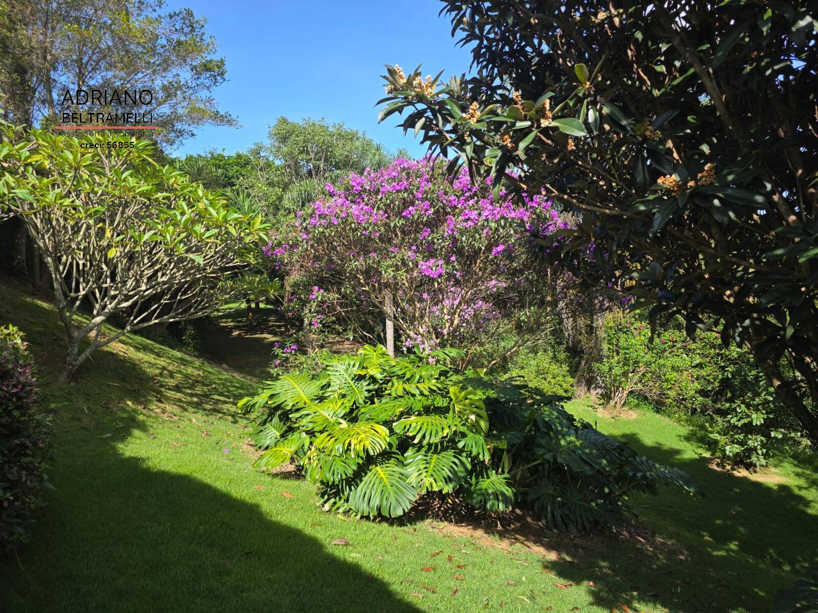 Sítio, 5 quartos, 2 hectares - Foto 43
