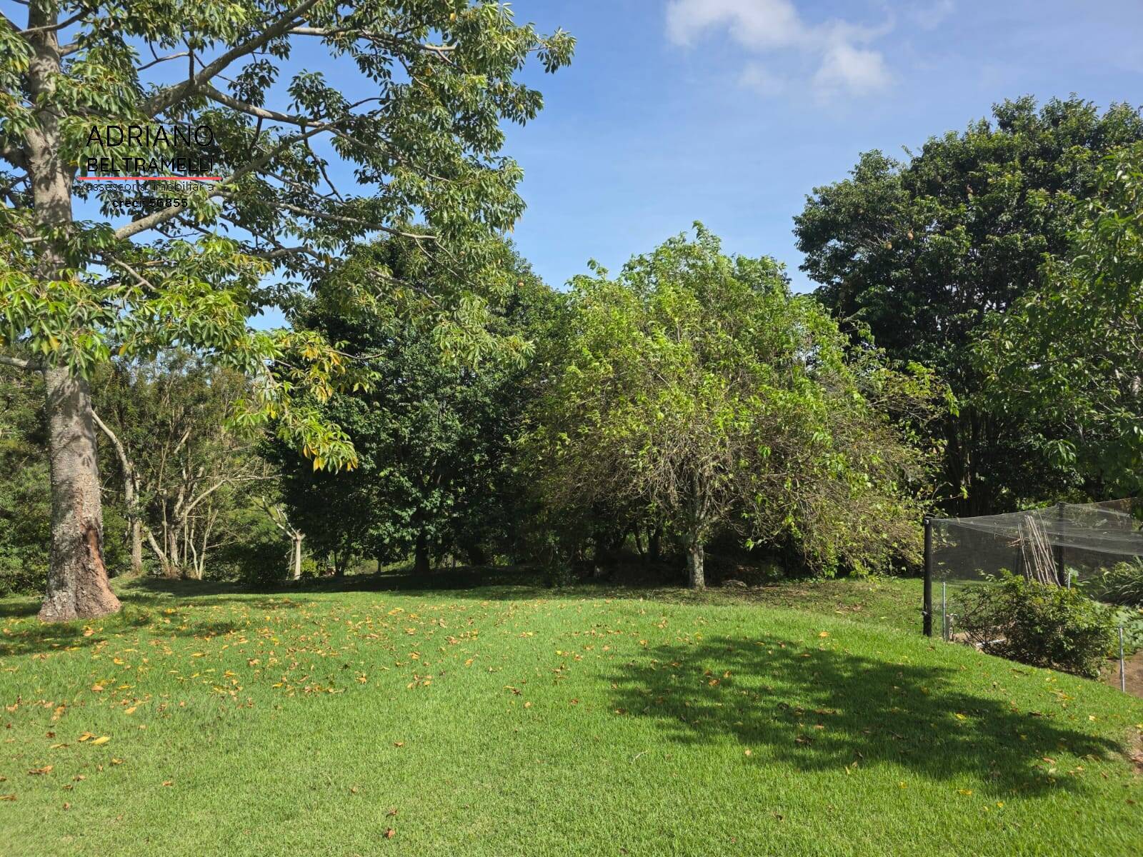 Sítio, 5 quartos, 2 hectares - Foto 44