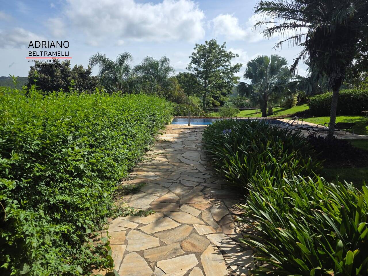 Sítio, 5 quartos, 2 hectares - Foto 47