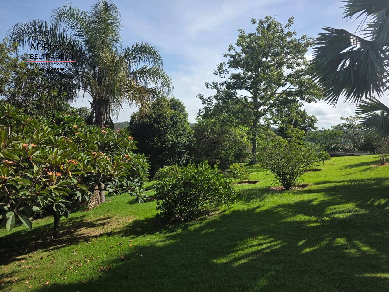 Sítio, 5 quartos, 2 hectares - Foto 48
