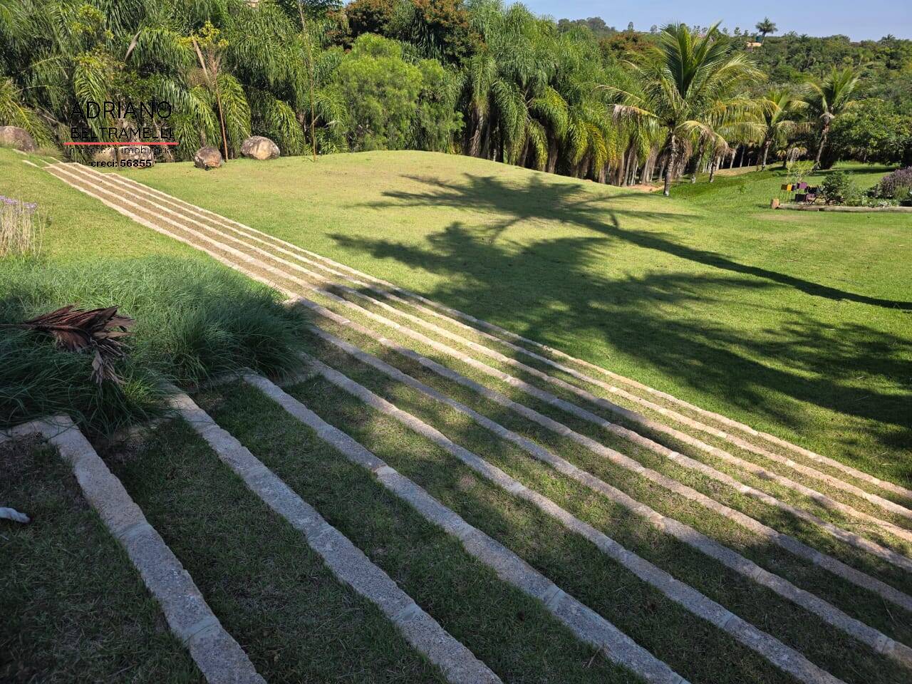 Sítio, 4 quartos, 2 hectares - Foto 4