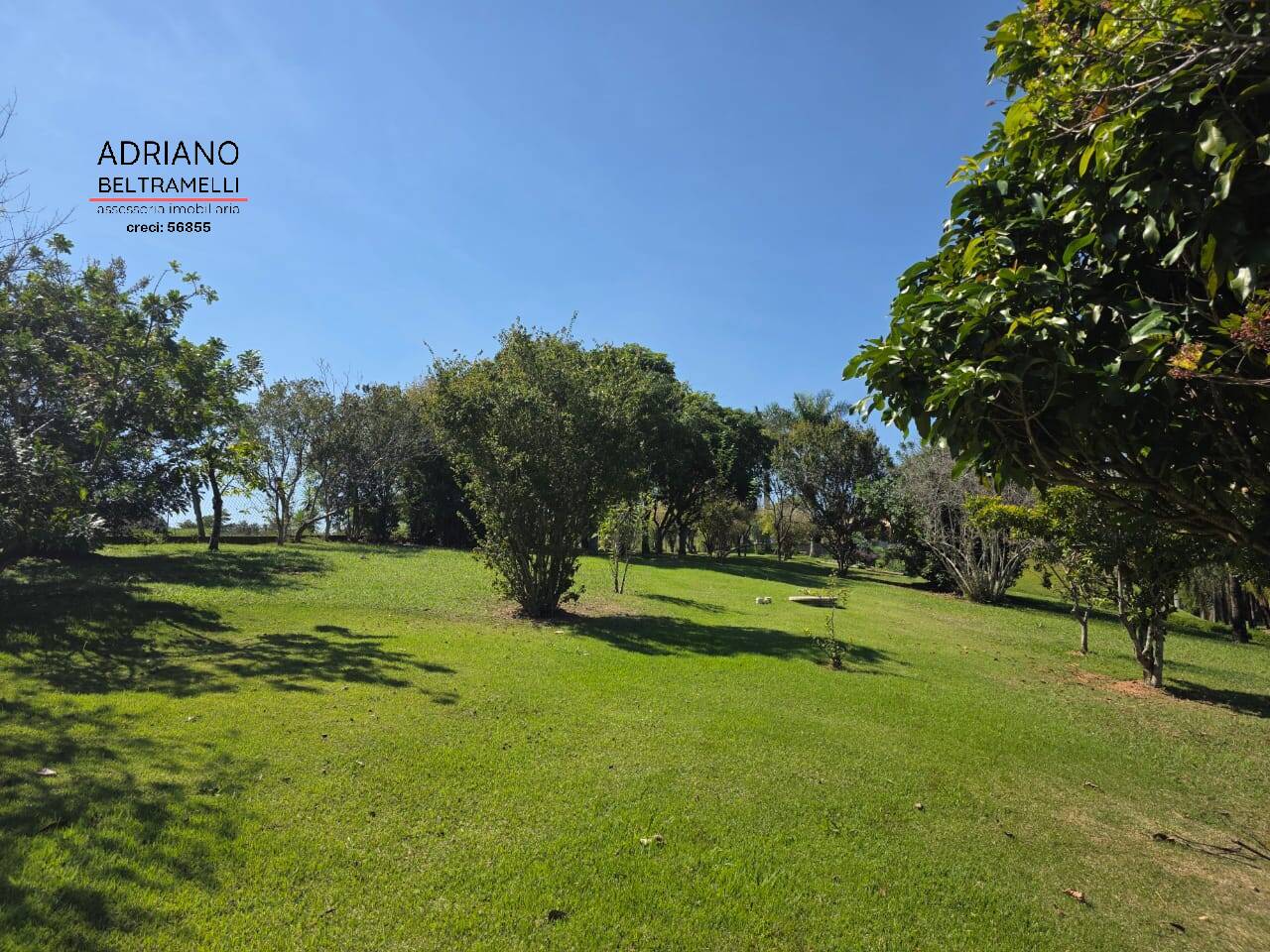 Sítio, 4 quartos, 2 hectares - Foto 35