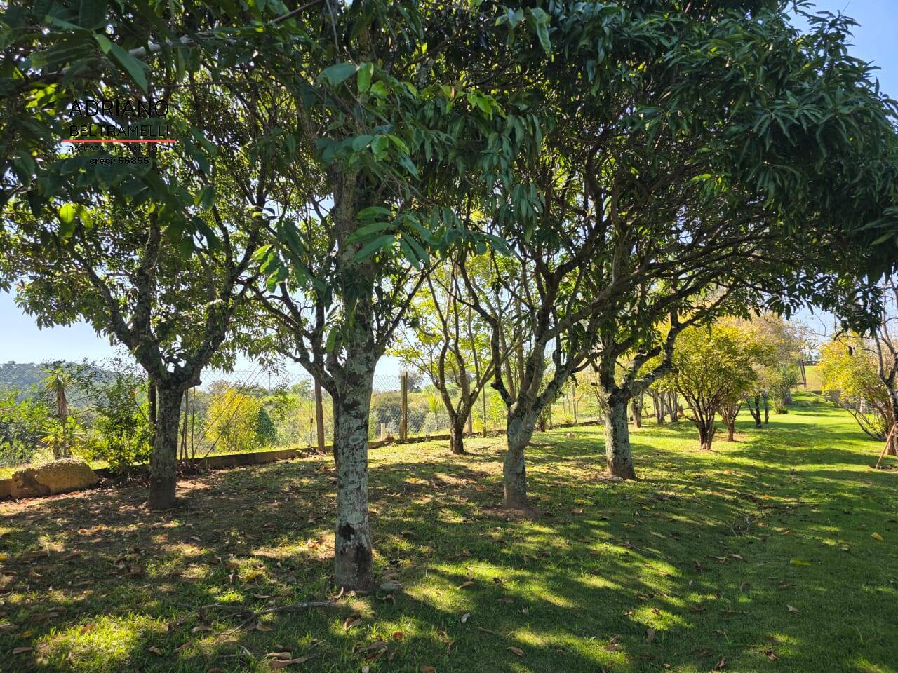 Sítio, 4 quartos, 2 hectares - Foto 36