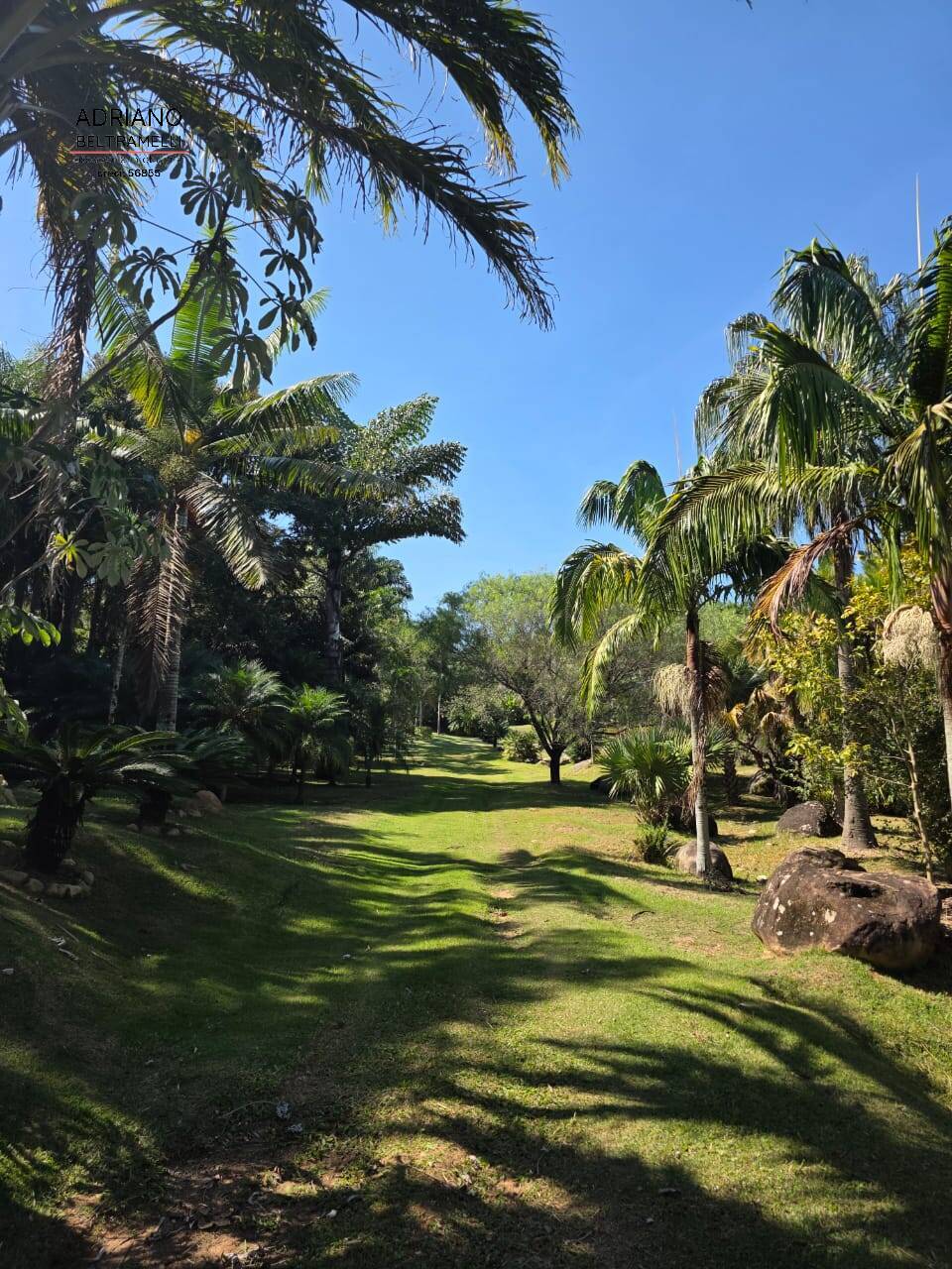 Sítio, 4 quartos, 2 hectares - Foto 39
