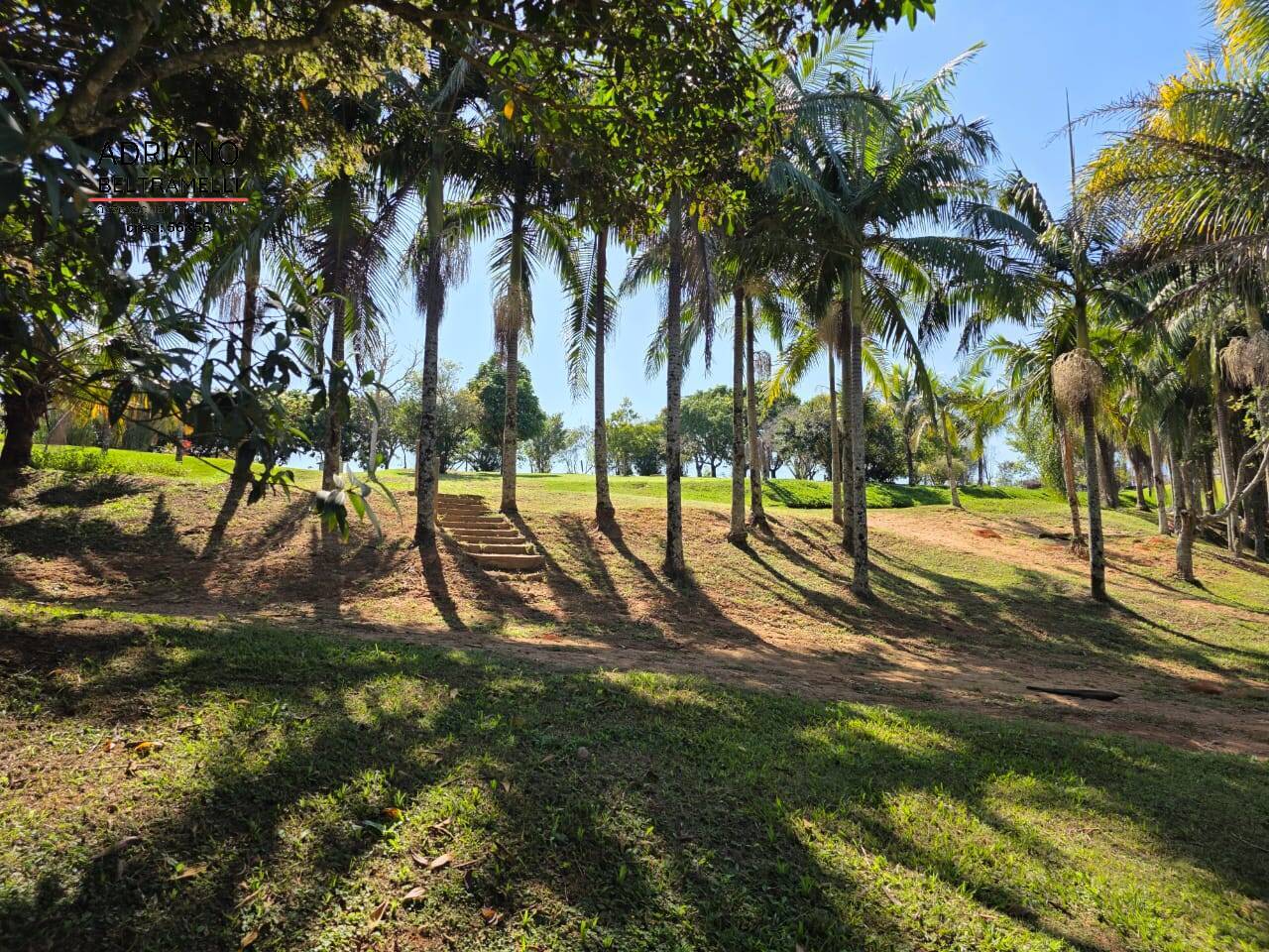 Sítio, 4 quartos, 2 hectares - Foto 45