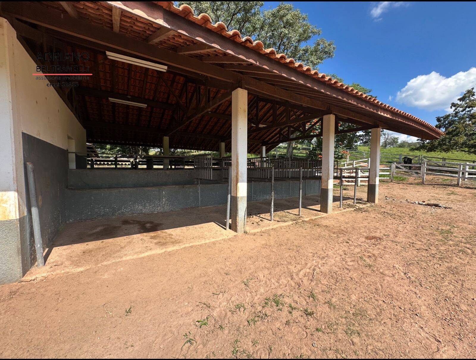 Terreno, 59 hectares - Foto 9