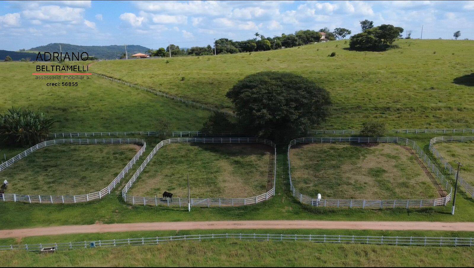Terreno, 59 hectares - Foto 8