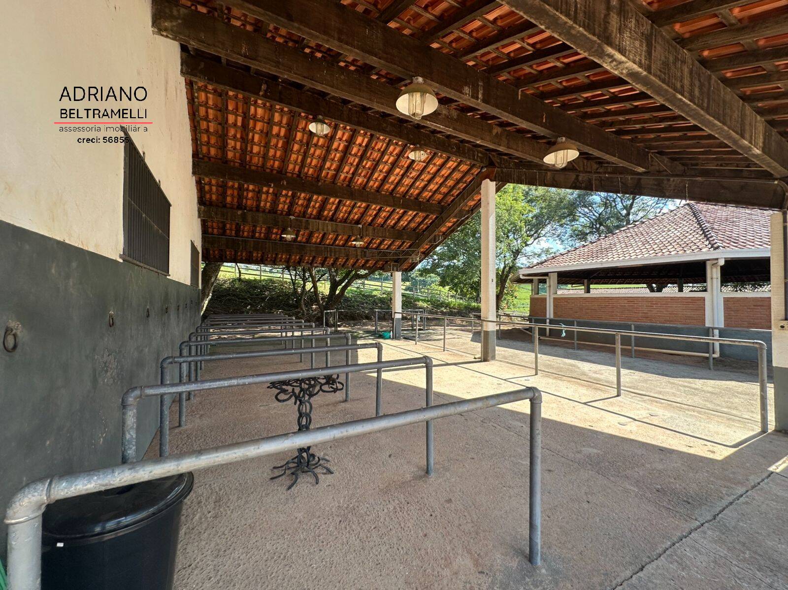Terreno, 59 hectares - Foto 11