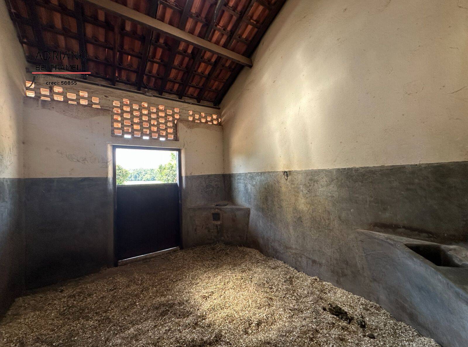 Terreno, 59 hectares - Foto 13