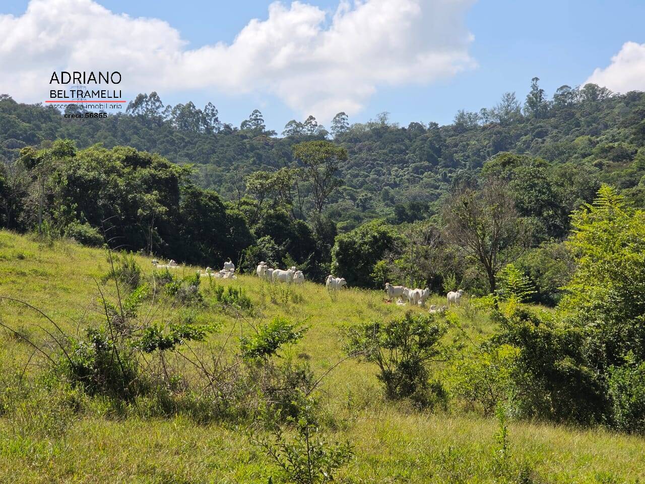 Fazenda, 131 m² - Foto 25