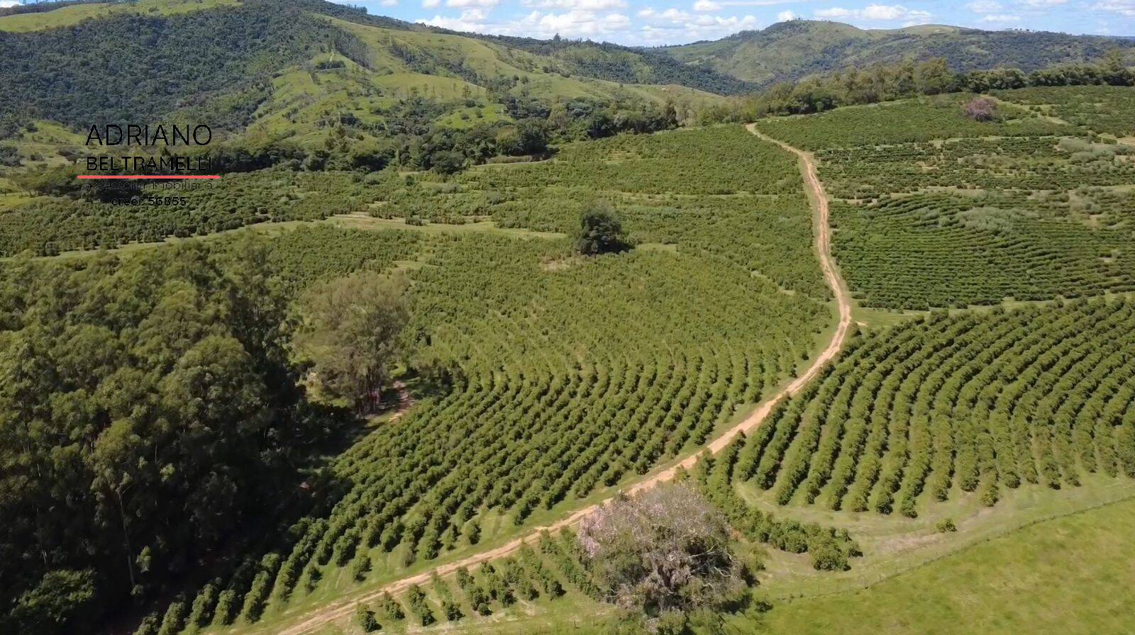 Fazenda, 171 m² - Foto 8