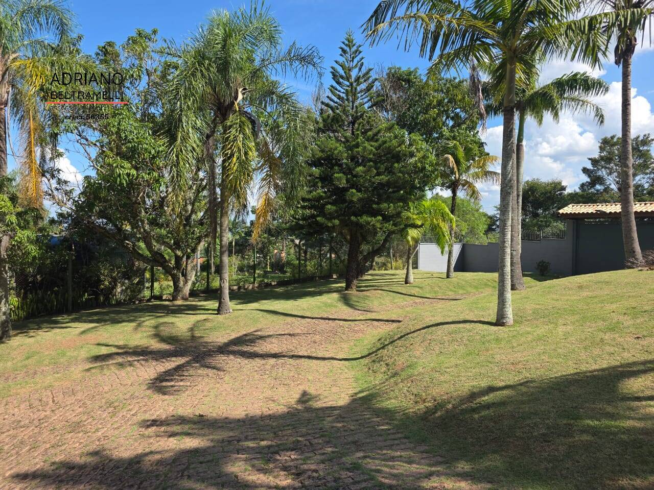 Sítio, 4 quartos, 2 hectares - Foto 18