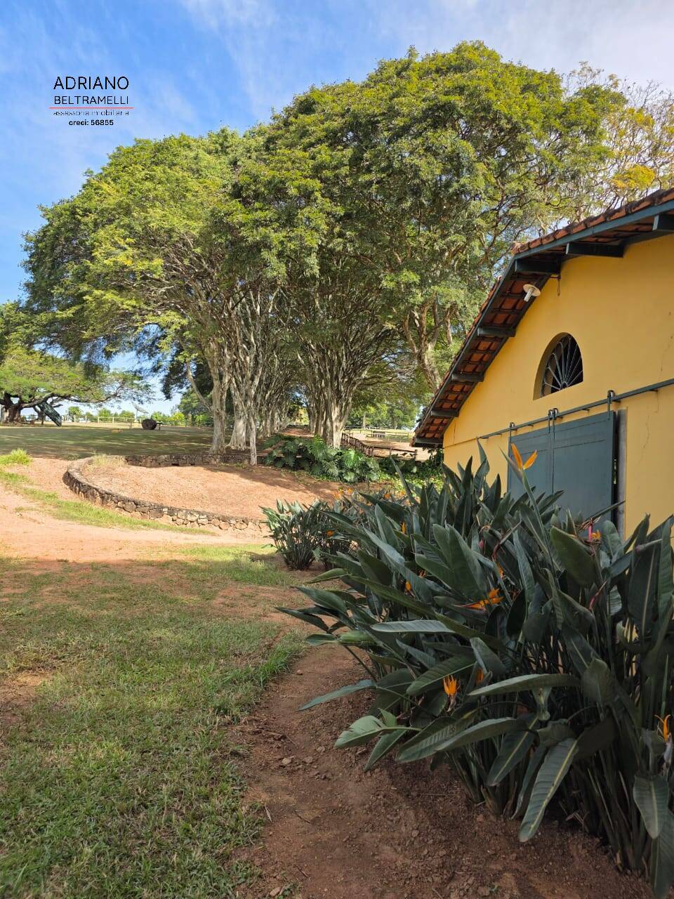 Sítio, 8 quartos, 1150 m² - Foto 19