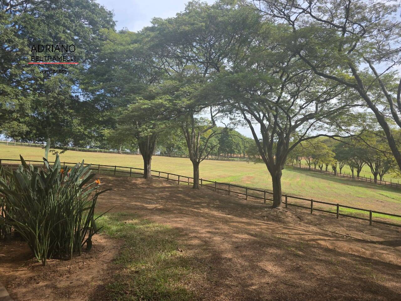 Sítio, 8 quartos, 1150 m² - Foto 34