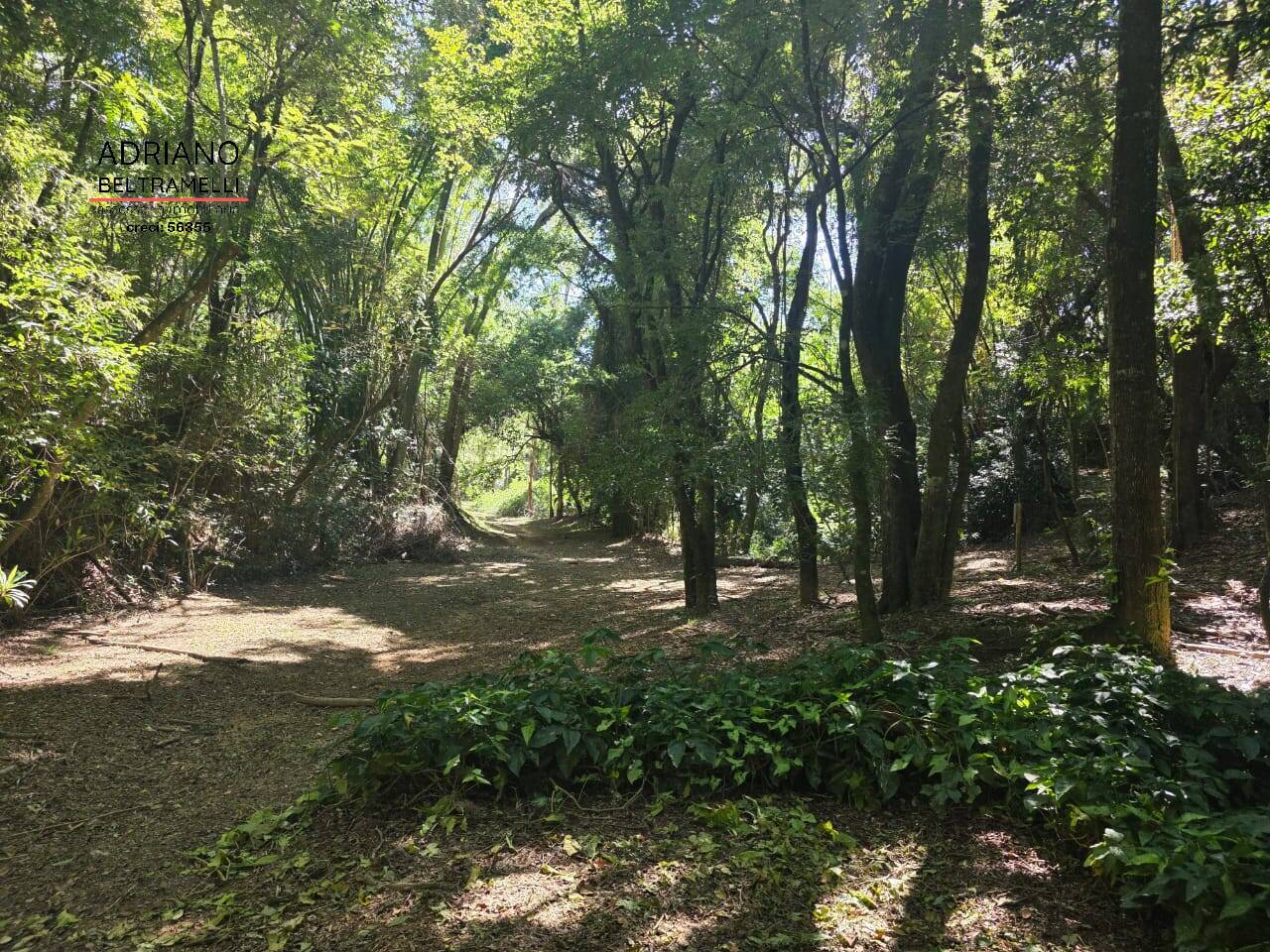 Terreno, 1500 m² - Foto 75