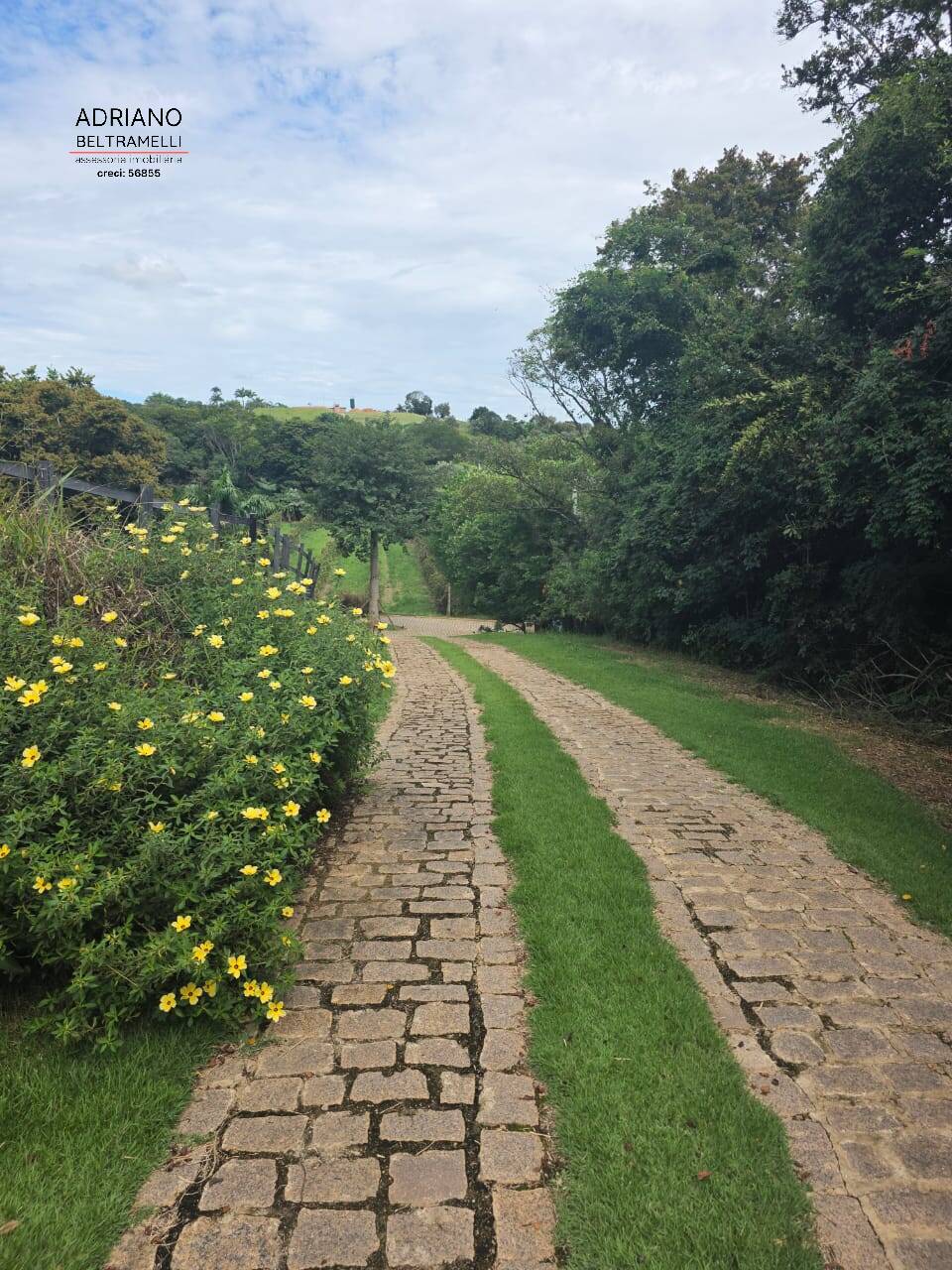 Terreno, 4 hectares - Foto 14