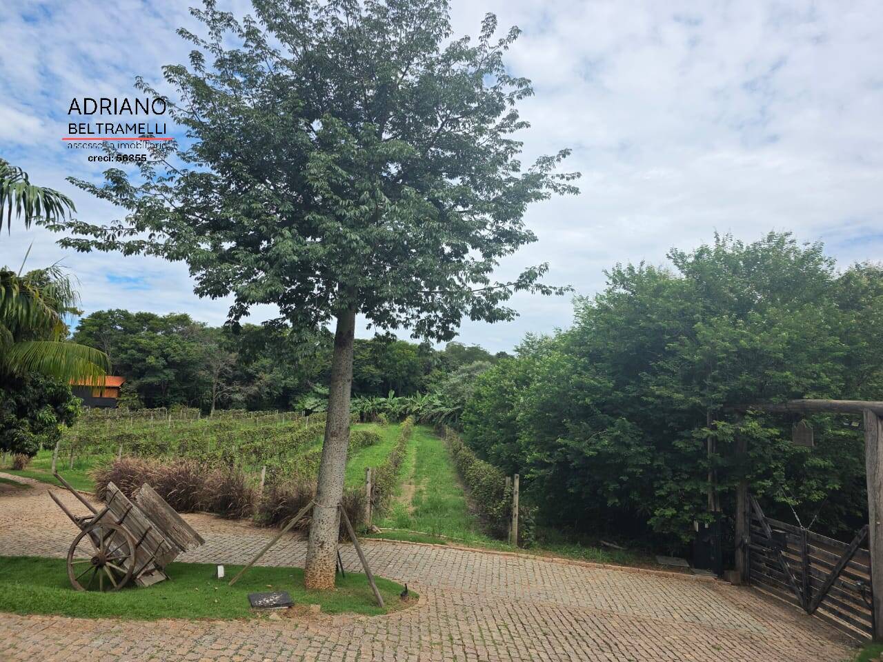 Terreno, 4 hectares - Foto 13
