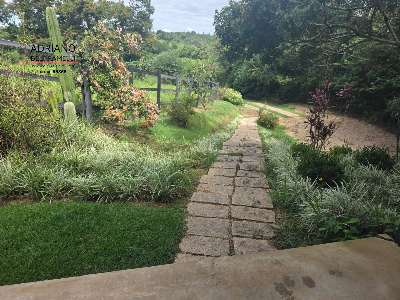 Terreno, 4 hectares - Foto 15