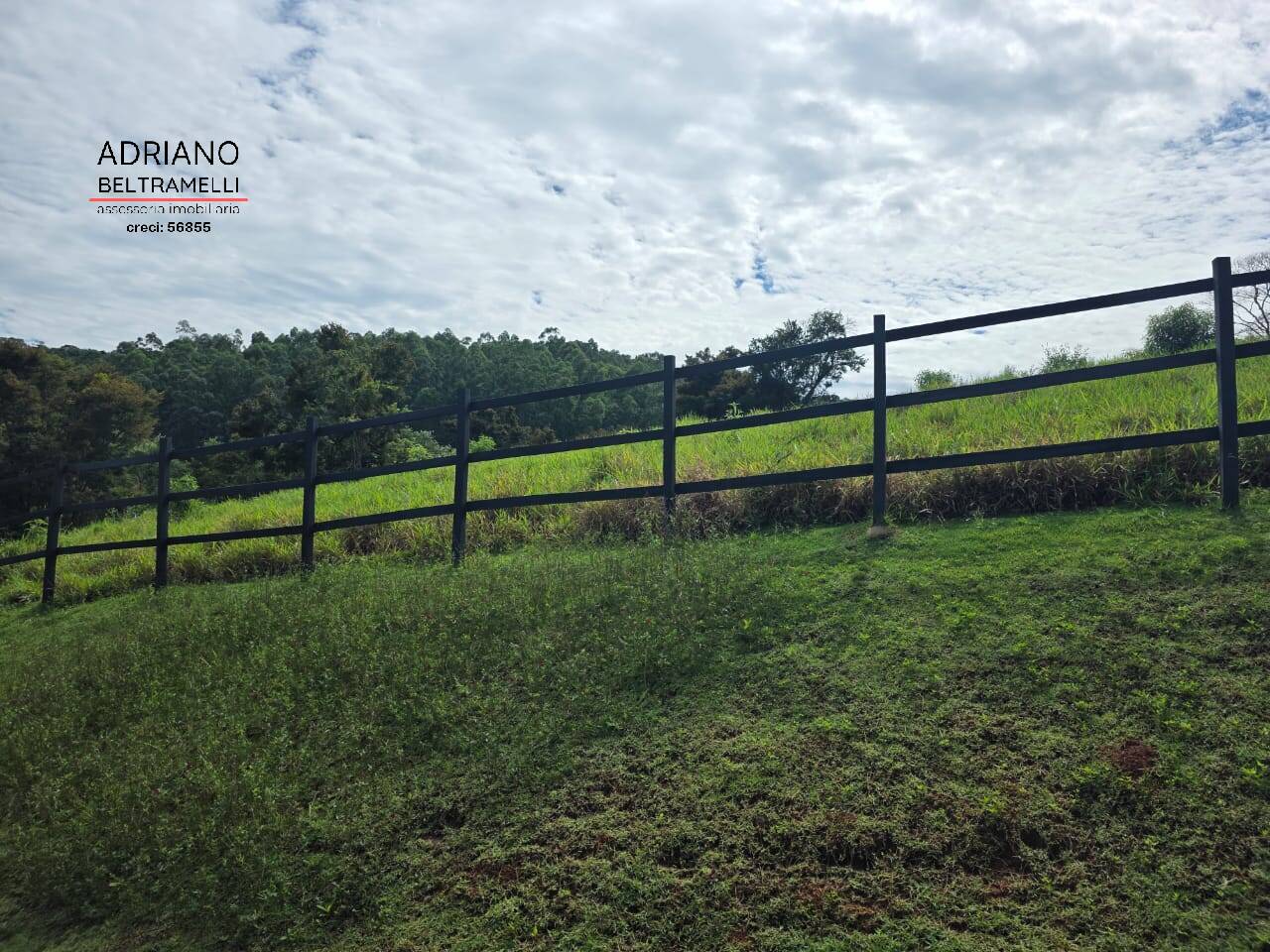 Terreno, 4 hectares - Foto 11