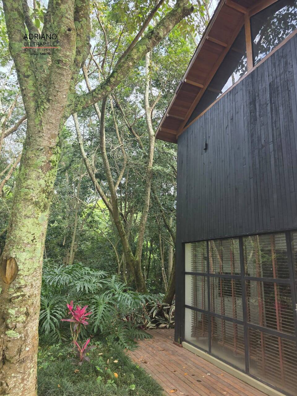 Terreno, 4 hectares - Foto 32