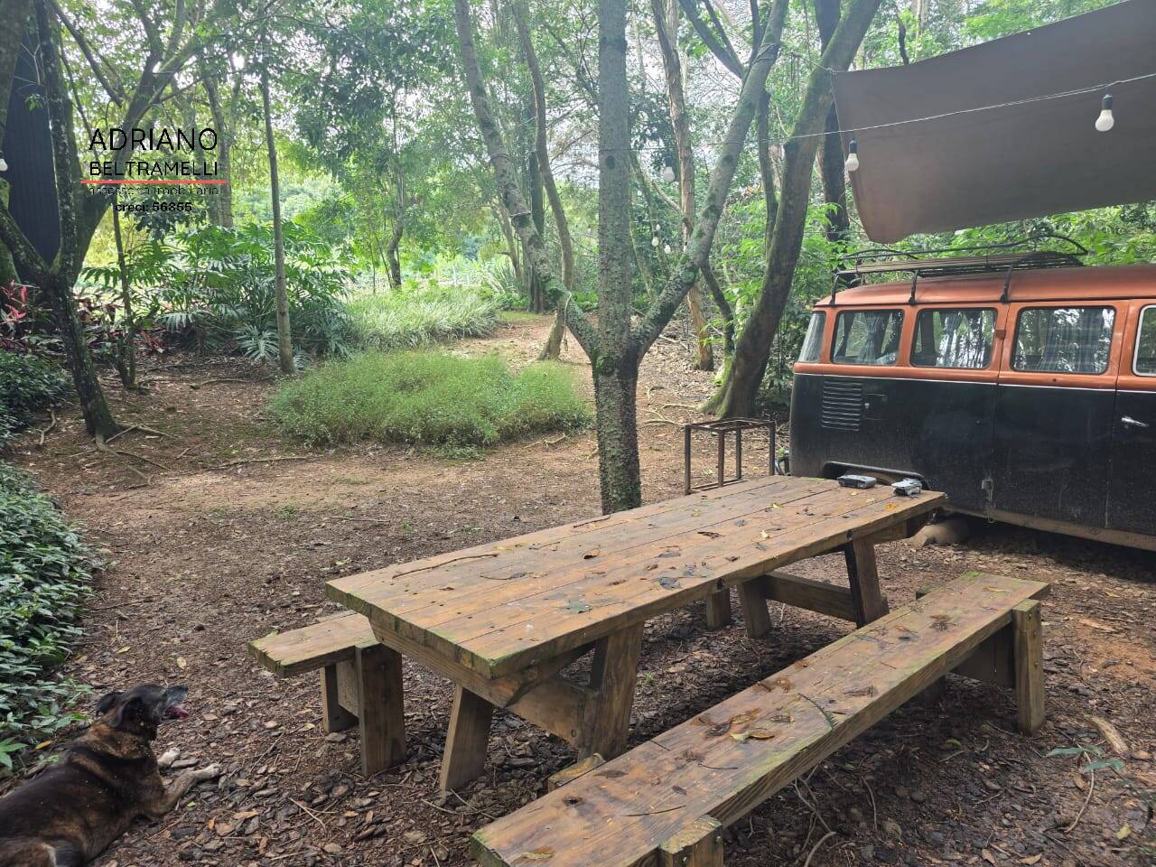 Terreno, 4 hectares - Foto 33