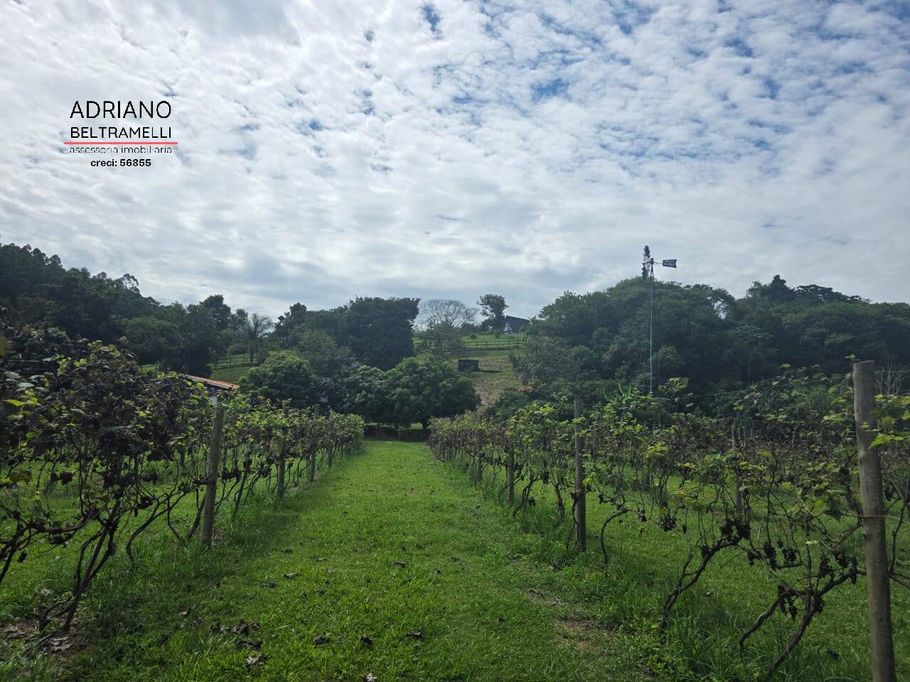 Terreno, 4 hectares - Foto 37