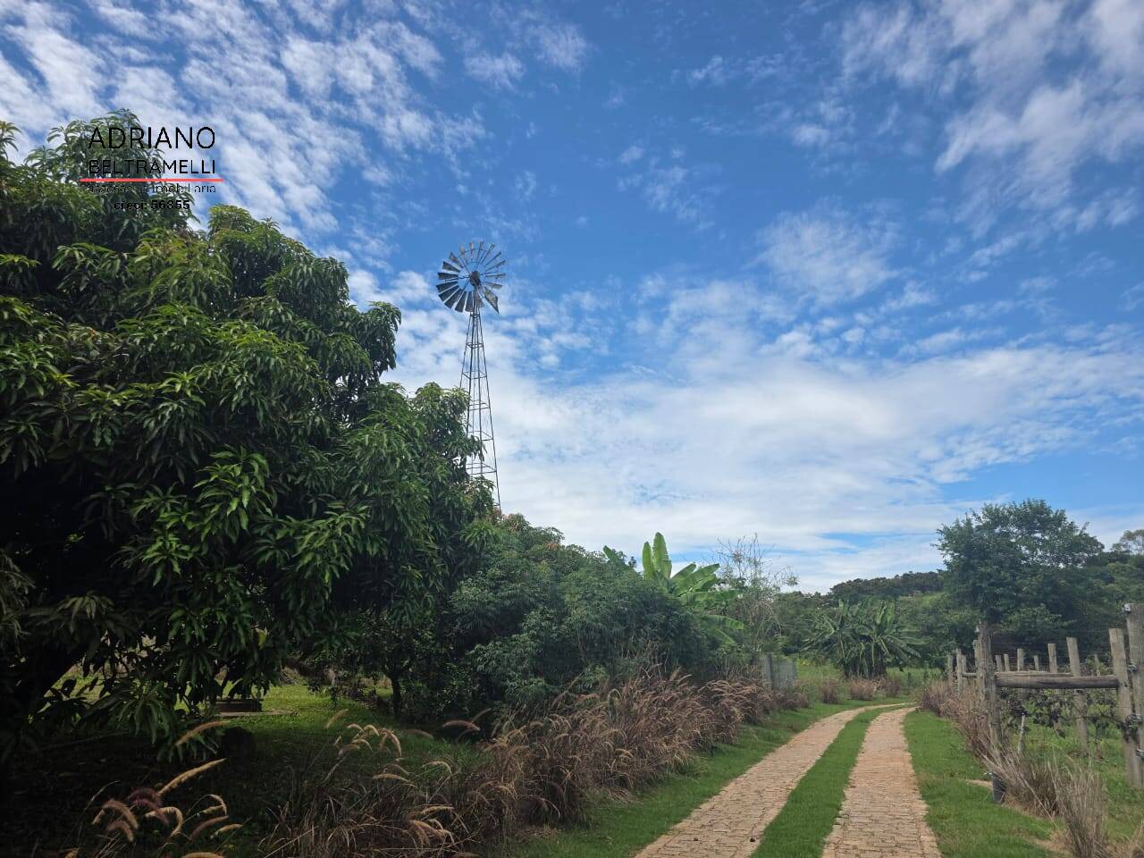 Terreno, 4 hectares - Foto 42